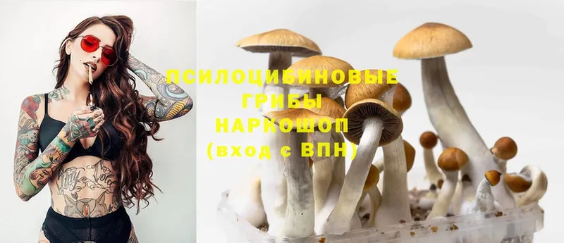 Псилоцибиновые грибы Magic Shrooms  Казань 